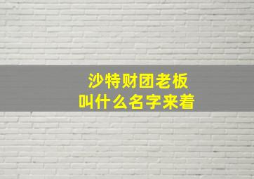 沙特财团老板叫什么名字来着