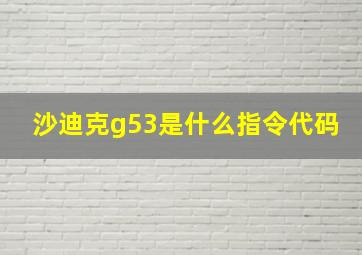 沙迪克g53是什么指令代码