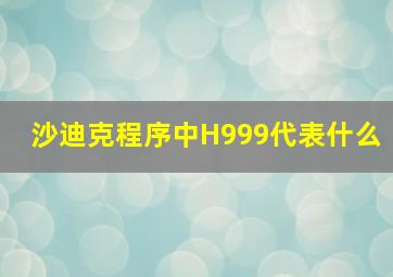 沙迪克程序中H999代表什么