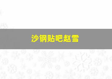 沙钢贴吧赵雪