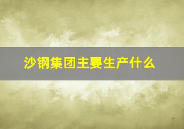 沙钢集团主要生产什么