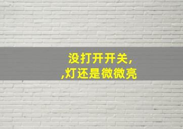 没打开开关,,灯还是微微亮