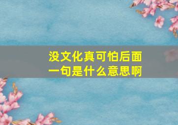 没文化真可怕后面一句是什么意思啊