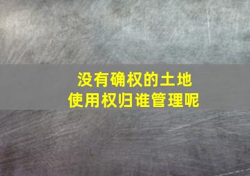 没有确权的土地使用权归谁管理呢