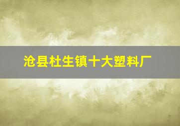 沧县杜生镇十大塑料厂