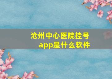 沧州中心医院挂号app是什么软件