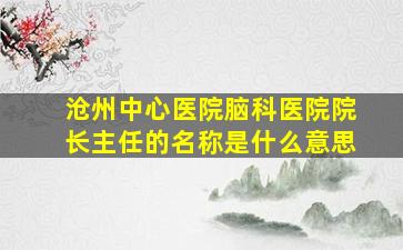 沧州中心医院脑科医院院长主任的名称是什么意思