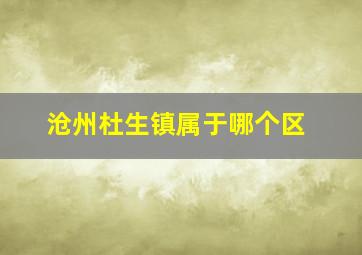 沧州杜生镇属于哪个区