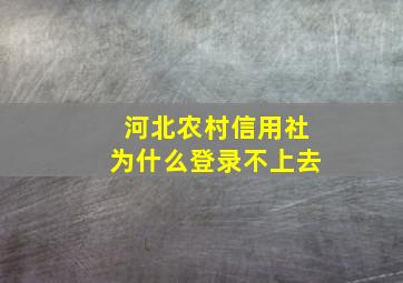 河北农村信用社为什么登录不上去