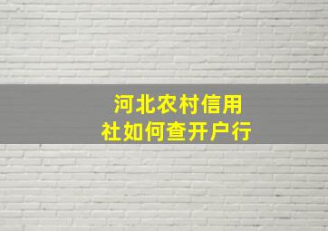 河北农村信用社如何查开户行