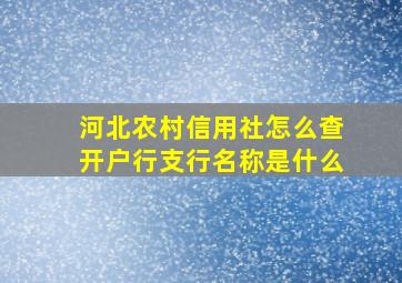 河北农村信用社怎么查开户行支行名称是什么