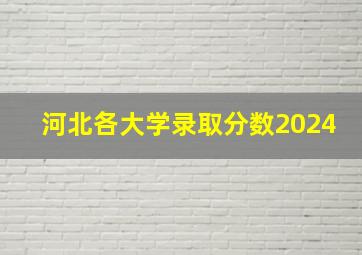 河北各大学录取分数2024