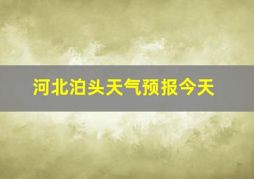 河北泊头天气预报今天