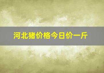 河北猪价格今日价一斤