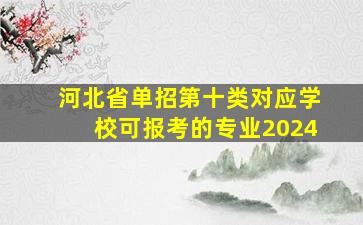 河北省单招第十类对应学校可报考的专业2024