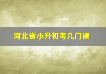 河北省小升初考几门课