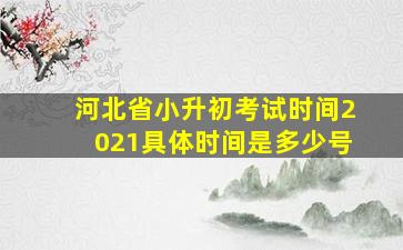 河北省小升初考试时间2021具体时间是多少号