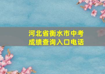 河北省衡水市中考成绩查询入口电话