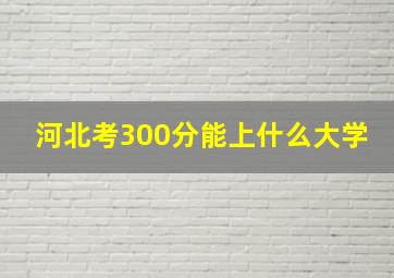 河北考300分能上什么大学