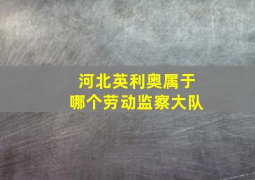 河北英利奥属于哪个劳动监察大队