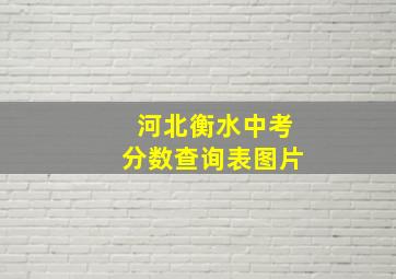 河北衡水中考分数查询表图片