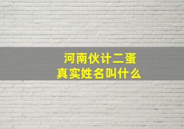 河南伙计二蛋真实姓名叫什么