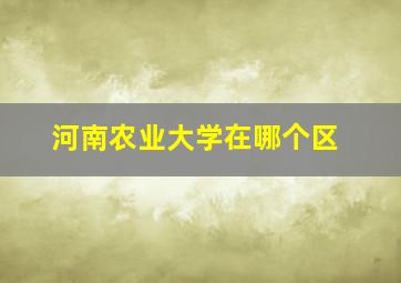 河南农业大学在哪个区