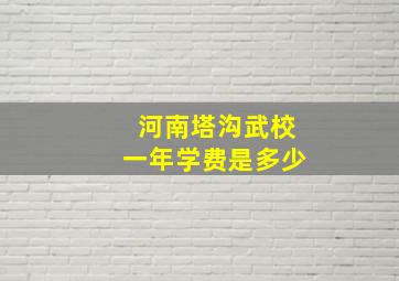 河南塔沟武校一年学费是多少