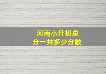 河南小升初总分一共多少分数