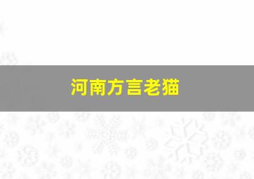 河南方言老猫