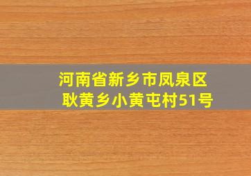 河南省新乡市凤泉区耿黄乡小黄屯村51号