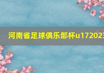 河南省足球俱乐部杯u172023