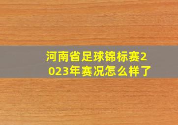 河南省足球锦标赛2023年赛况怎么样了