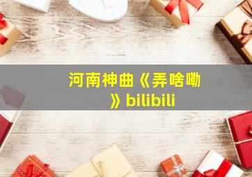 河南神曲《弄啥嘞》bilibili