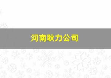 河南耿力公司