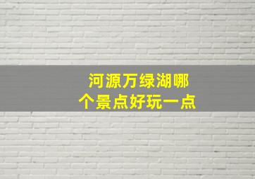 河源万绿湖哪个景点好玩一点