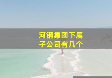 河钢集团下属子公司有几个