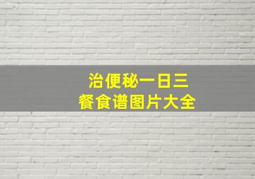 治便秘一日三餐食谱图片大全