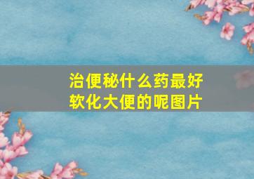 治便秘什么药最好软化大便的呢图片