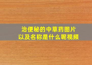 治便秘的中草药图片以及名称是什么呢视频