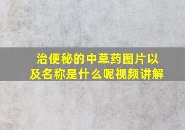 治便秘的中草药图片以及名称是什么呢视频讲解