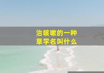 治咳嗽的一种草学名叫什么