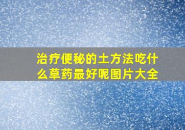 治疗便秘的土方法吃什么草药最好呢图片大全