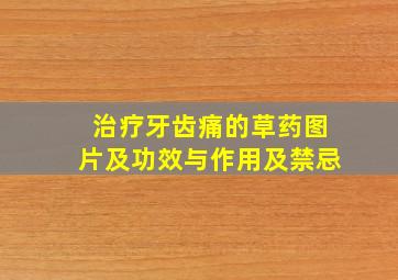 治疗牙齿痛的草药图片及功效与作用及禁忌