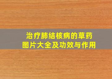 治疗肺结核病的草药图片大全及功效与作用