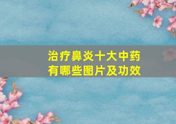 治疗鼻炎十大中药有哪些图片及功效