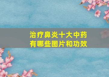 治疗鼻炎十大中药有哪些图片和功效