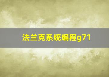 法兰克系统编程g71