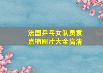 法国乒乓女队员袁嘉楠图片大全高清