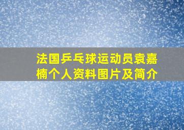 法国乒乓球运动员袁嘉楠个人资料图片及简介